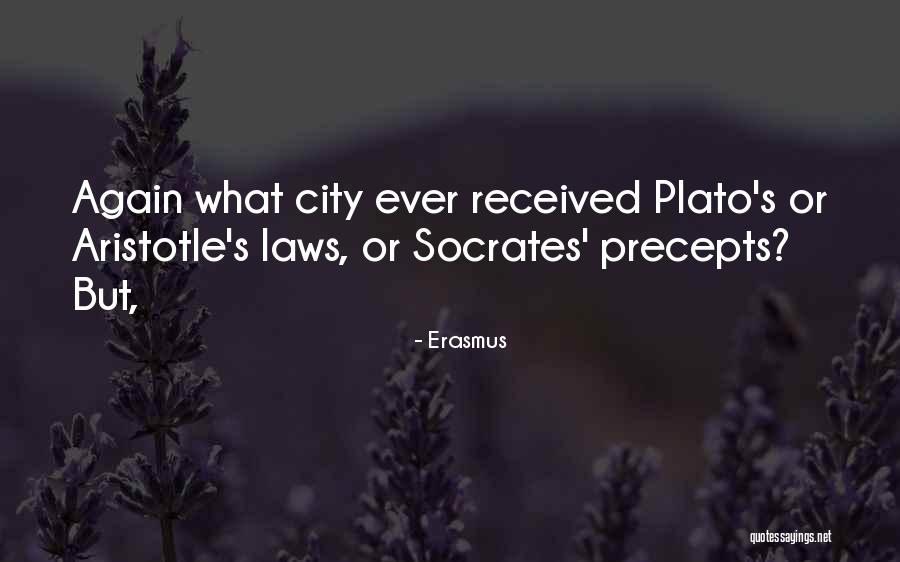 Punim Diplome Quotes By Erasmus