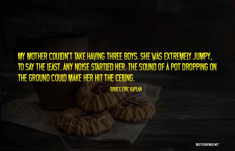 Punimon Quotes By Bruce Eric Kaplan Punimon Quotes By Bruce Eric Kaplan