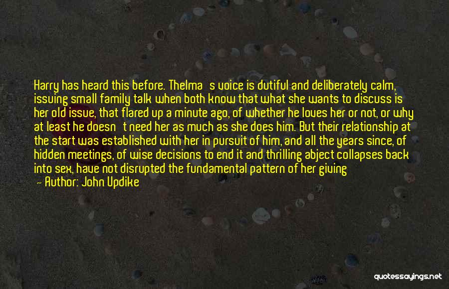 Punish Love Quotes By John Updike