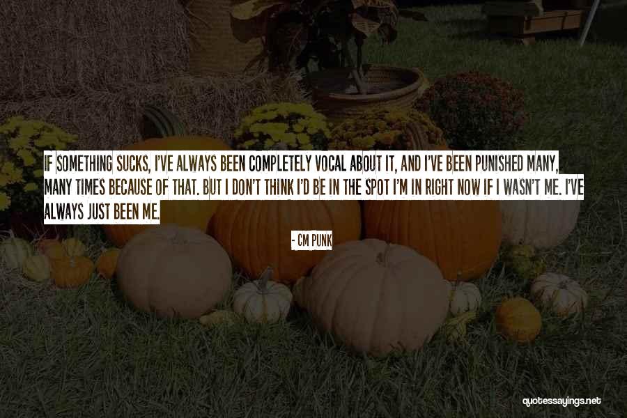 Punished Quotes By CM Punk Punished Quotes By CM Punk