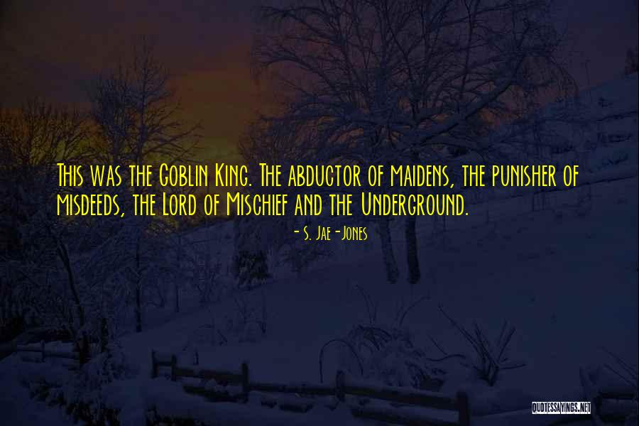 Punisher Quotes By S. Jae-Jones Punisher Quotes By S. Jae-Jones
