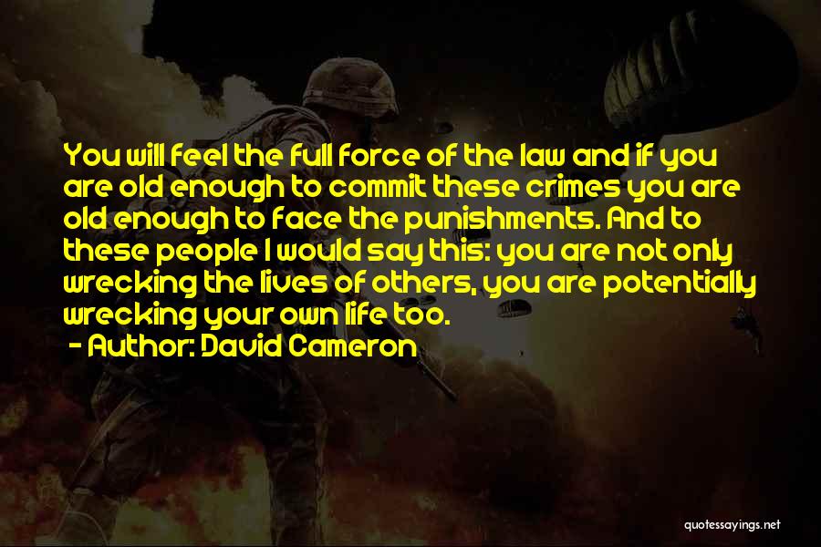 Punishments Quotes By David Cameron