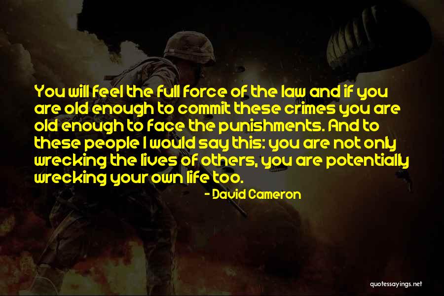 Punishments Quotes By David Cameron