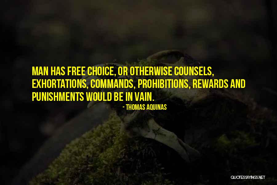 Punishments Quotes By Thomas Aquinas