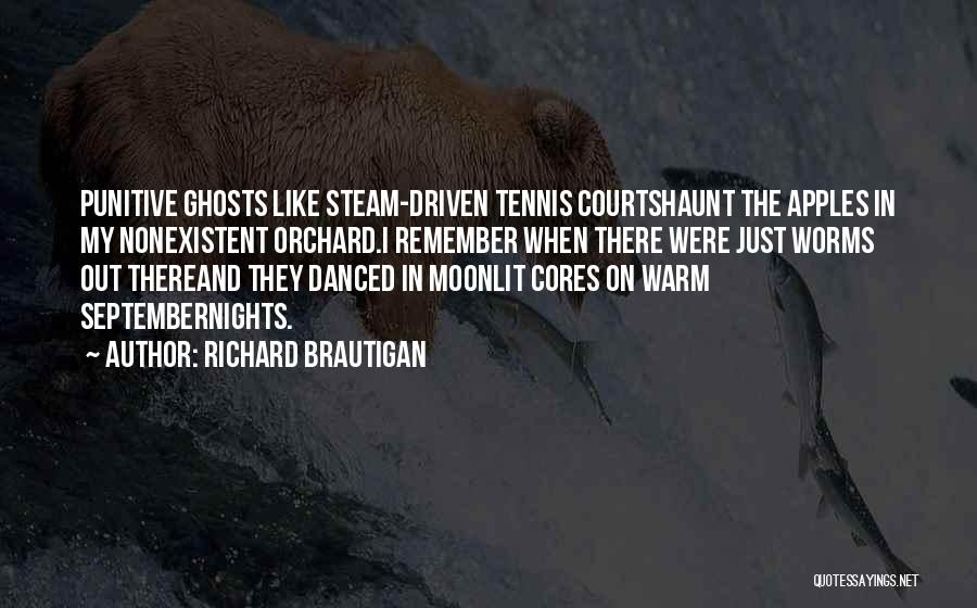 Punitive Quotes By Richard Brautigan