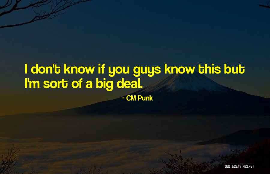 Punk Guys Quotes By CM Punk Punk Guys Quotes By CM Punk