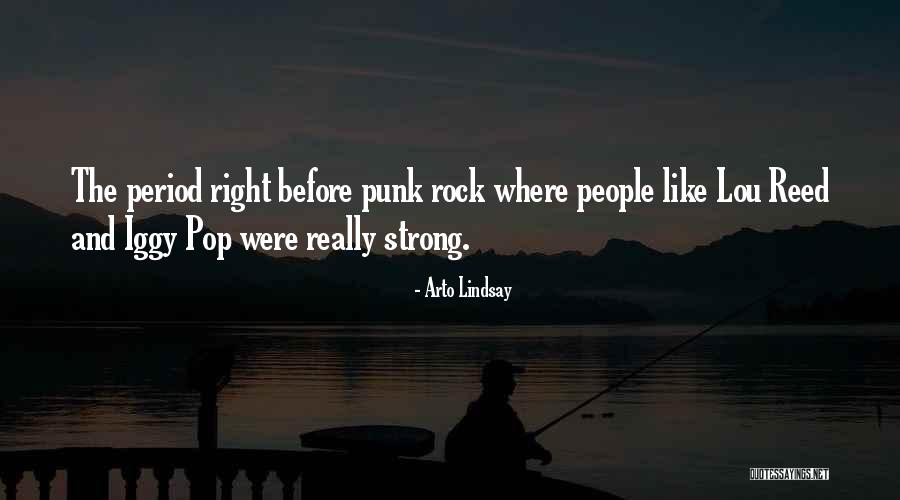 Punk Pop Quotes By Arto Lindsay Punk Pop Quotes By Arto Lindsay