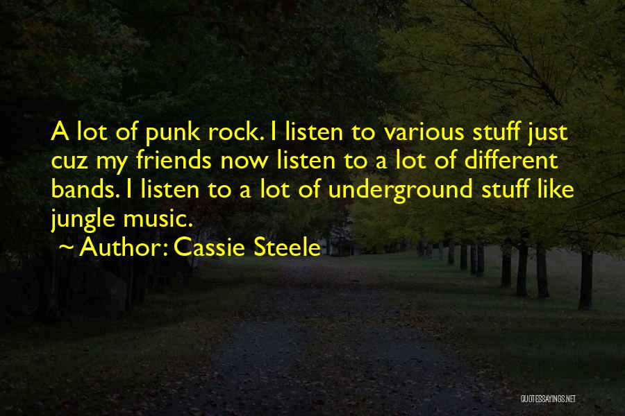 Punk Rock Band Quotes By Cassie Steele