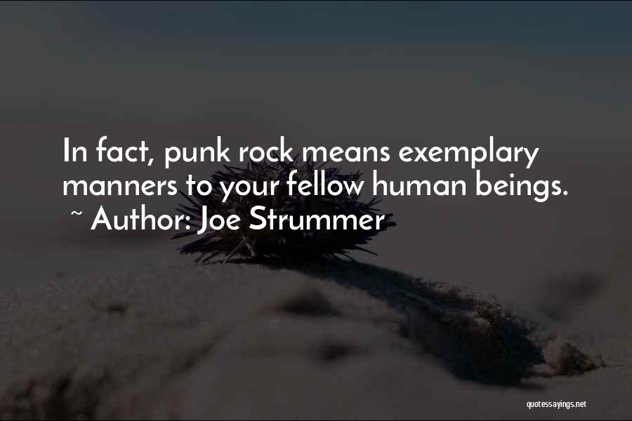 Punk Rock Quotes By Joe Strummer