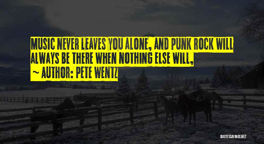 Punk Rock Quotes By Pete Wentz