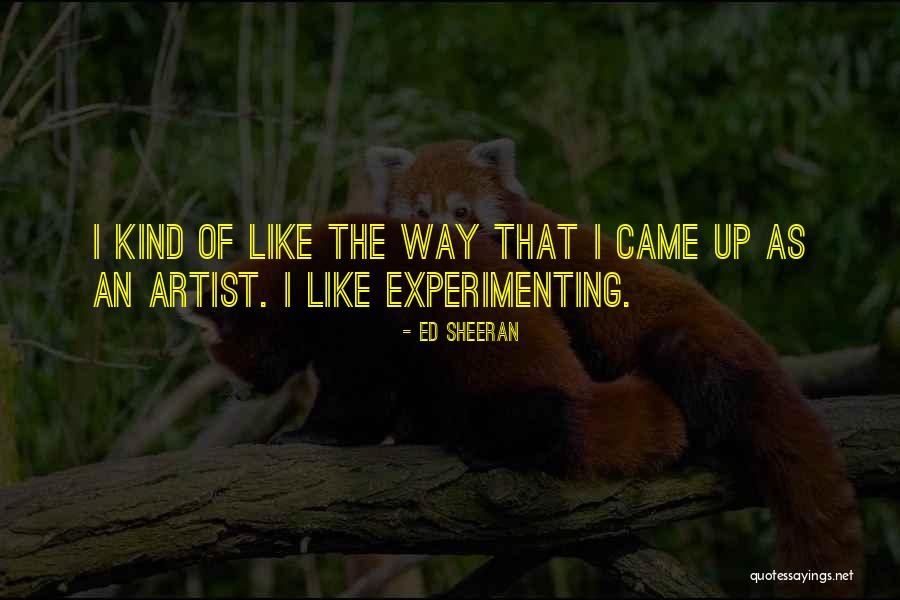Punkalasa Quotes By Ed Sheeran Punkalasa Quotes By Ed Sheeran