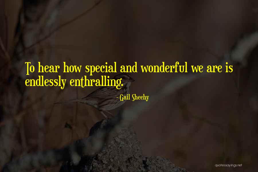 Punkwood Quotes By Gail Sheehy Punkwood Quotes By Gail Sheehy