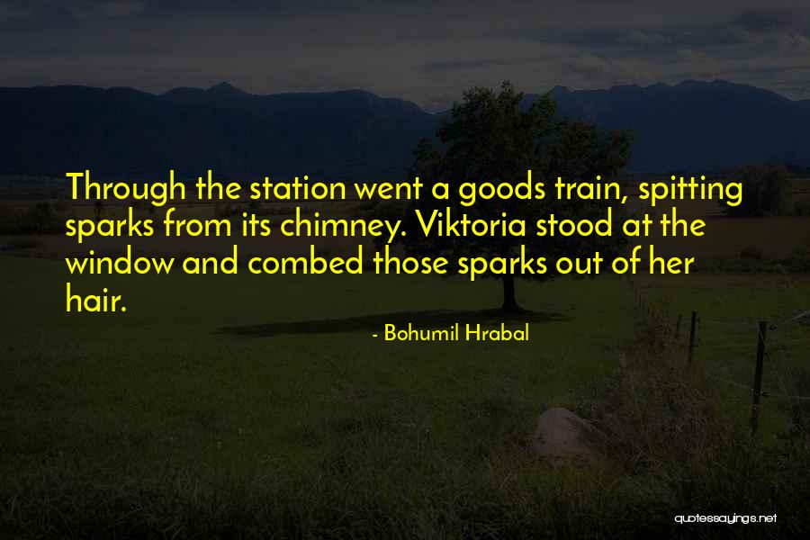 Puntiagudo En Quotes By Bohumil Hrabal Puntiagudo En Quotes By Bohumil Hrabal