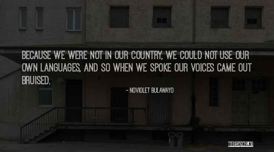 Pupating Mealworms Quotes By NoViolet Bulawayo Pupating Mealworms Quotes By NoViolet Bulawayo