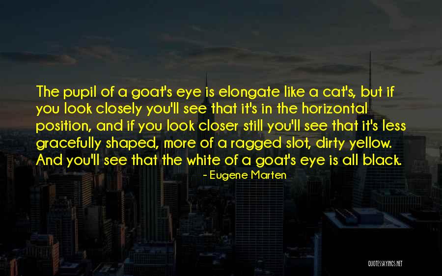 Pupil Fiction Quotes By Eugene Marten Pupil Fiction Quotes By Eugene Marten