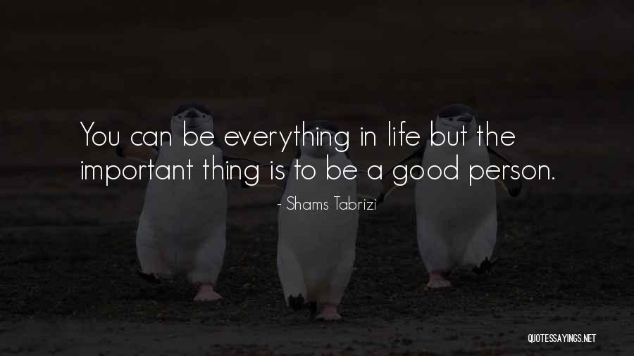 Pupilless Eyes Quotes By Shams Tabrizi Pupilless Eyes Quotes By Shams Tabrizi
