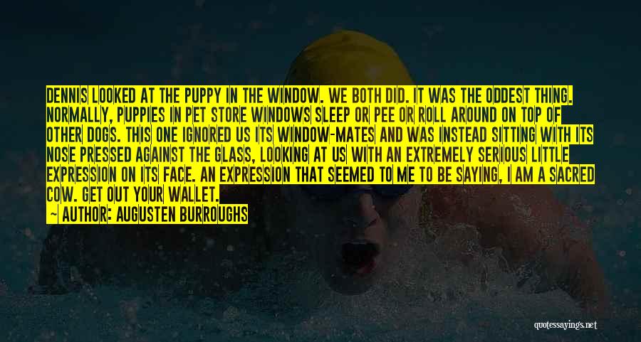 Puppies And Dogs Quotes By Augusten Burroughs