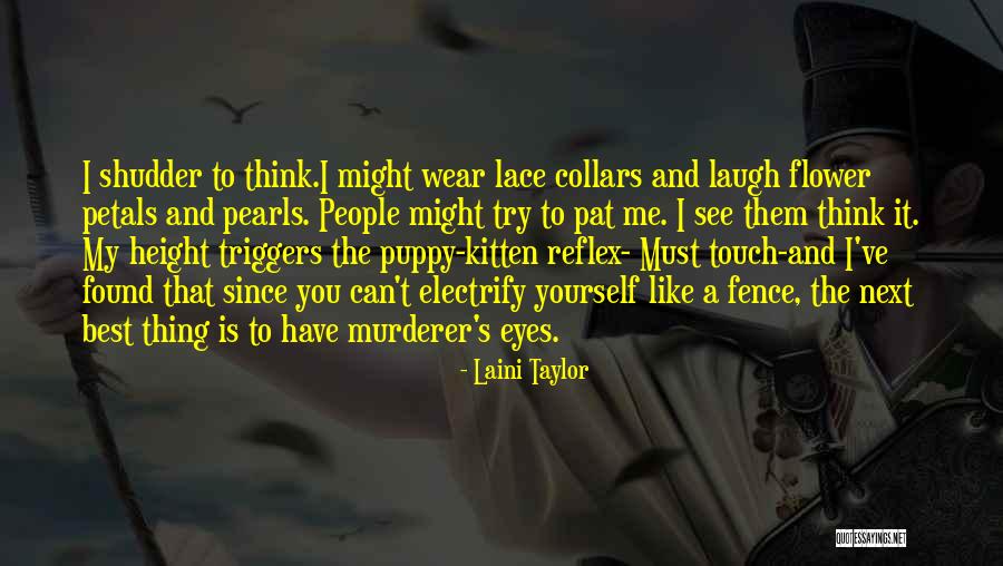 Puppy And Kitten Quotes By Laini Taylor Puppy And Kitten Quotes By Laini Taylor
