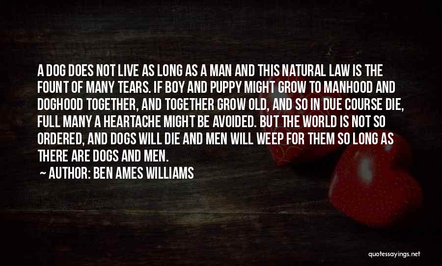 Puppy Dogs Quotes By Ben Ames Williams