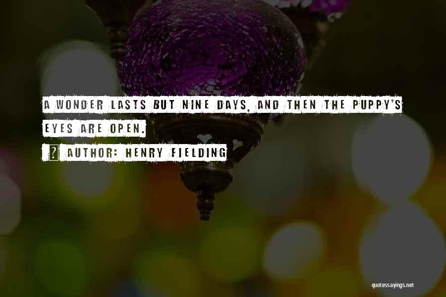 Puppy Eyes Quotes By Henry Fielding