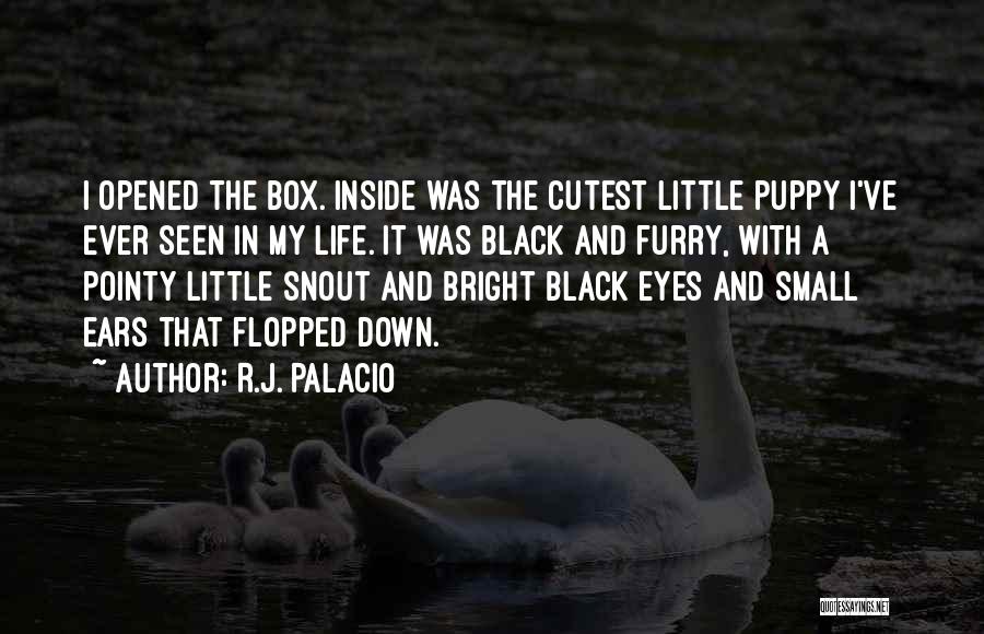 Puppy Eyes Quotes By R.J. Palacio