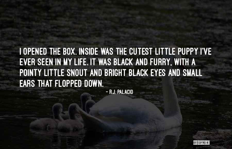 Puppy Eyes Quotes By R.J. Palacio Puppy Eyes Quotes By R.J. Palacio