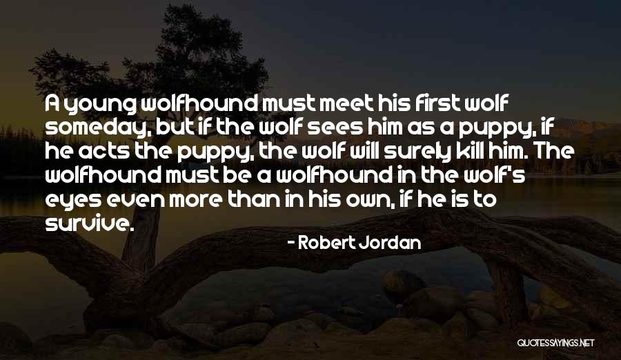 Puppy Eyes Quotes By Robert Jordan