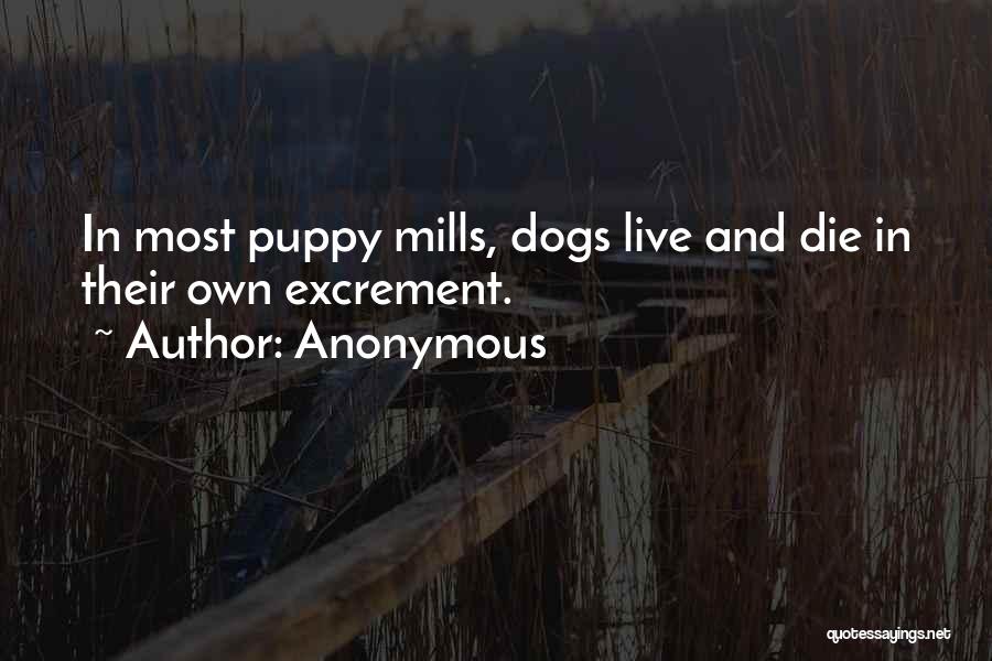 Puppy Mills Quotes By Anonymous