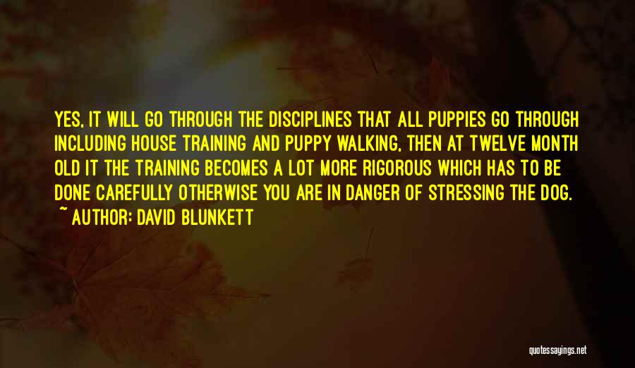 Puppy Training Quotes By David Blunkett