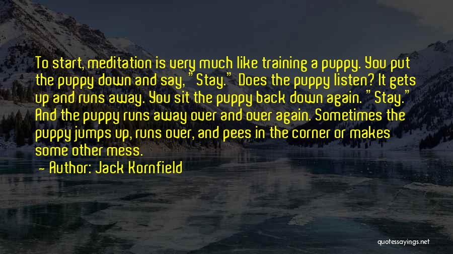 Puppy Training Quotes By Jack Kornfield
