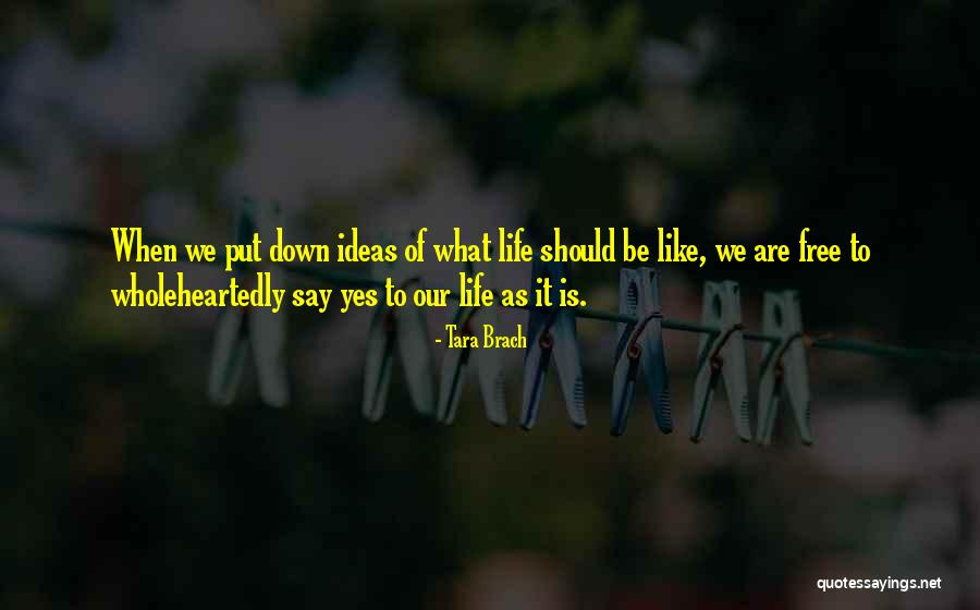 Purdah Suit Quotes By Tara Brach Purdah Suit Quotes By Tara Brach