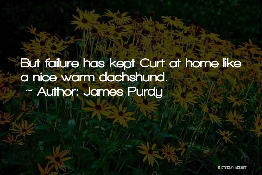 Purdy Quotes By James Purdy