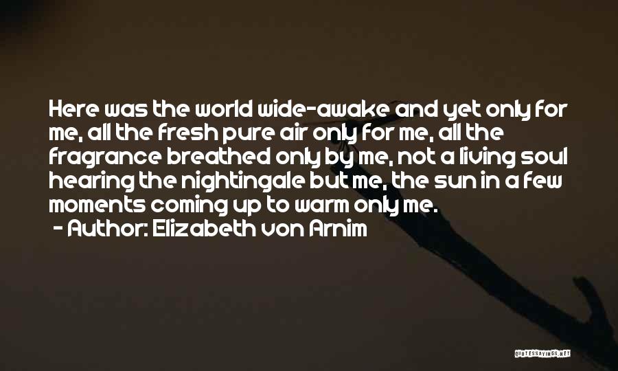 Pure Air Quotes By Elizabeth Von Arnim