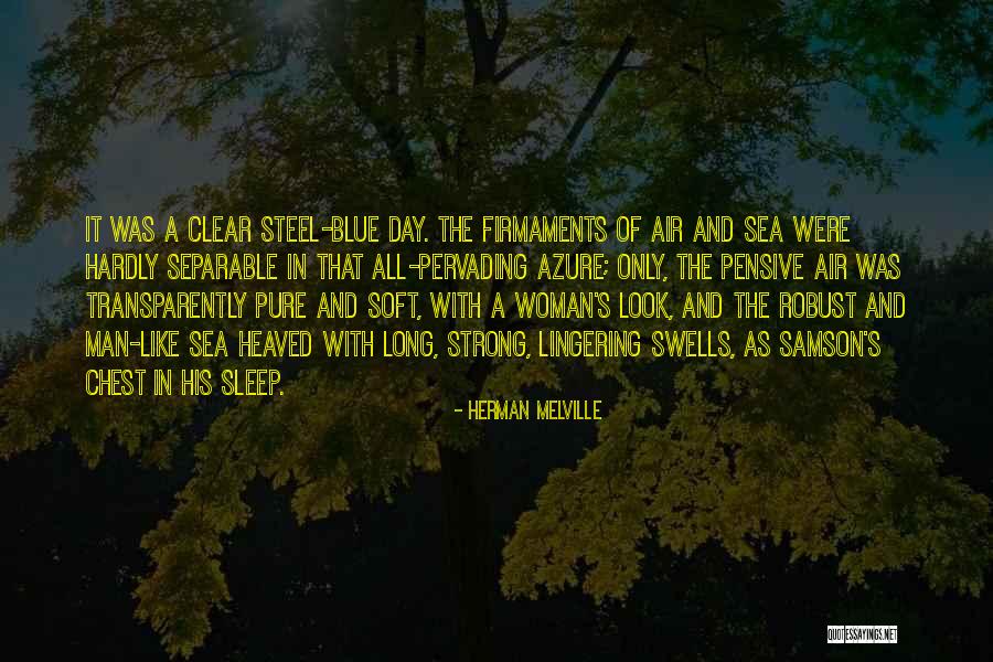 Pure Air Quotes By Herman Melville