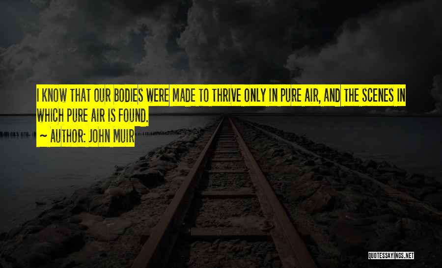 Pure Air Quotes By John Muir