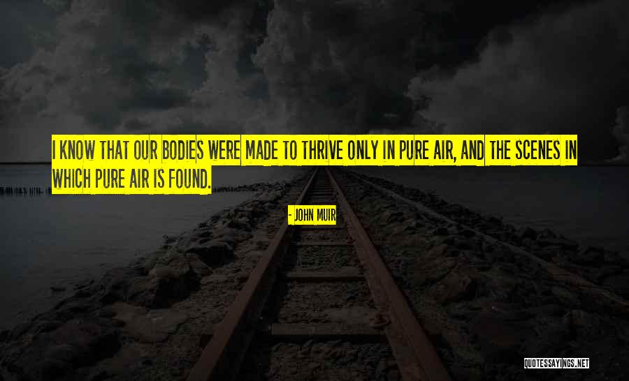 Pure Air Quotes By John Muir