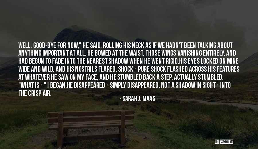 Pure Air Quotes By Sarah J. Maas