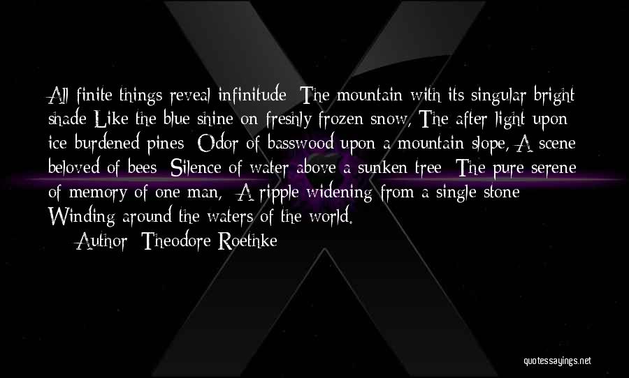 Pure As Snow Quotes By Theodore Roethke