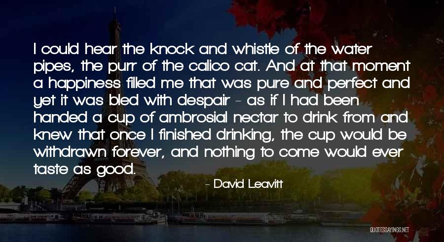 Pure Drinking Water Quotes By David Leavitt