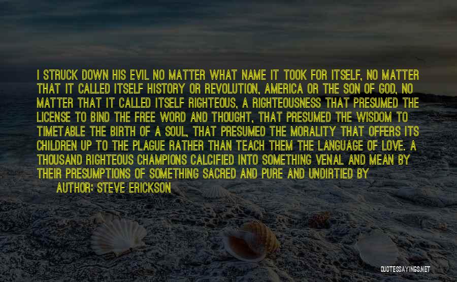 Pure Evil Quotes By Steve Erickson