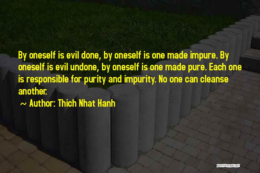 Pure Evil Quotes By Thich Nhat Hanh
