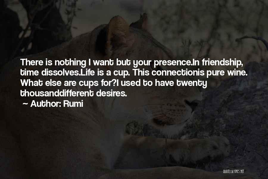 Pure Friendship Quotes By Rumi