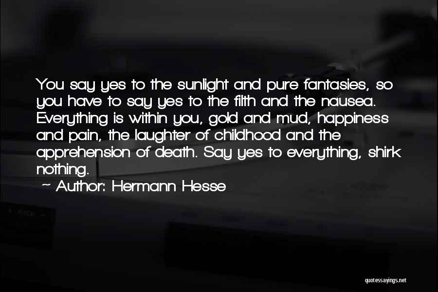 Pure Gold Quotes By Hermann Hesse