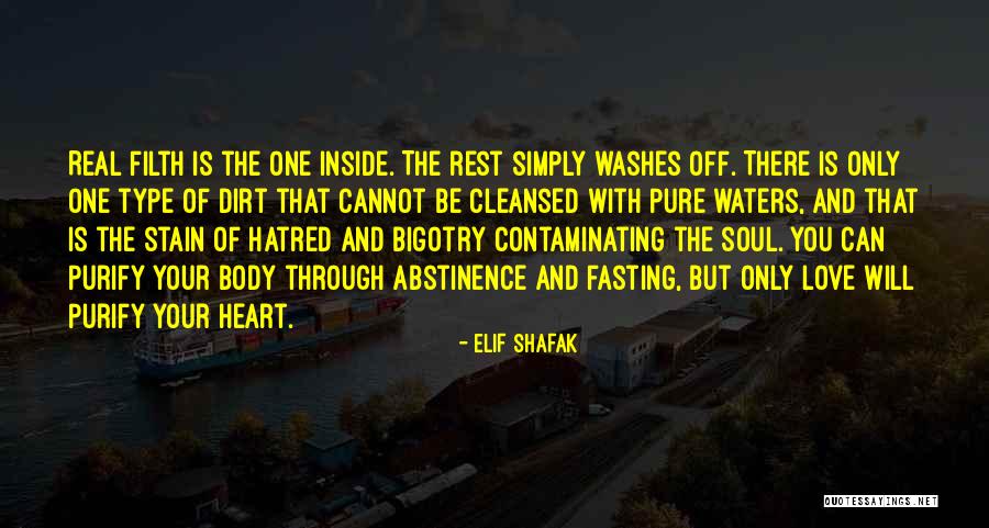 Pure Heart And Love Quotes By Elif Shafak Pure Heart And Love Quotes By Elif Shafak