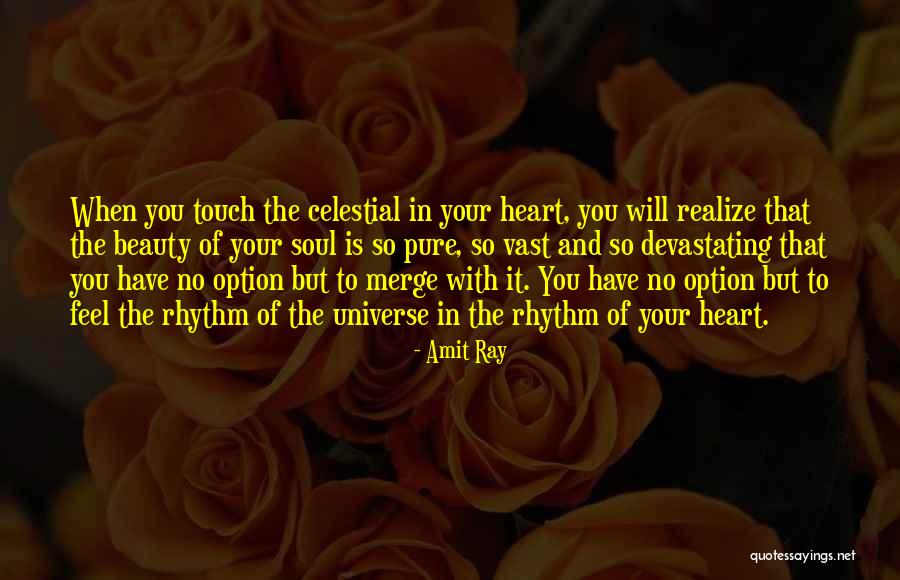 Pure Heart And Soul Quotes By Amit Ray