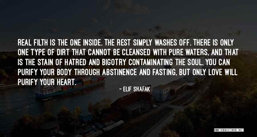 Pure Heart And Soul Quotes By Elif Shafak