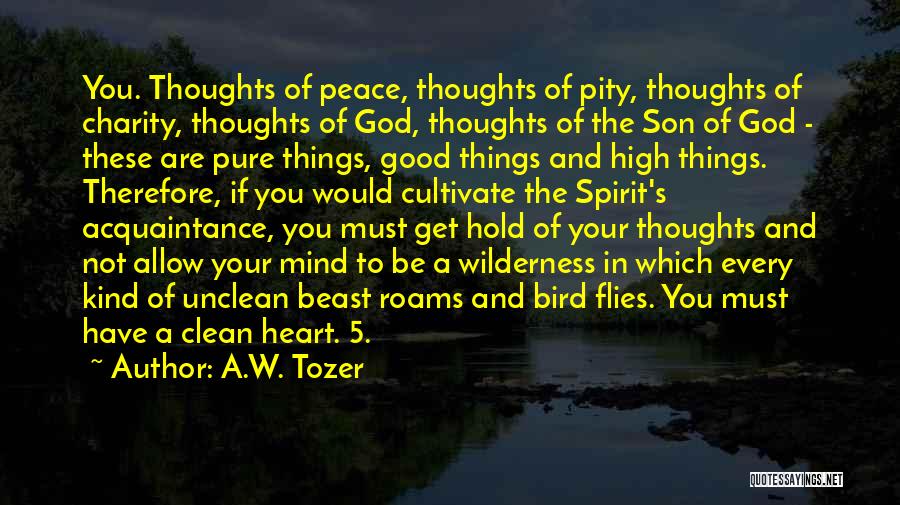 Pure Heart Clean Mind Quotes By A.W. Tozer