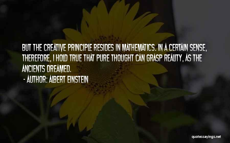 Pure Mathematics Quotes By Albert Einstein