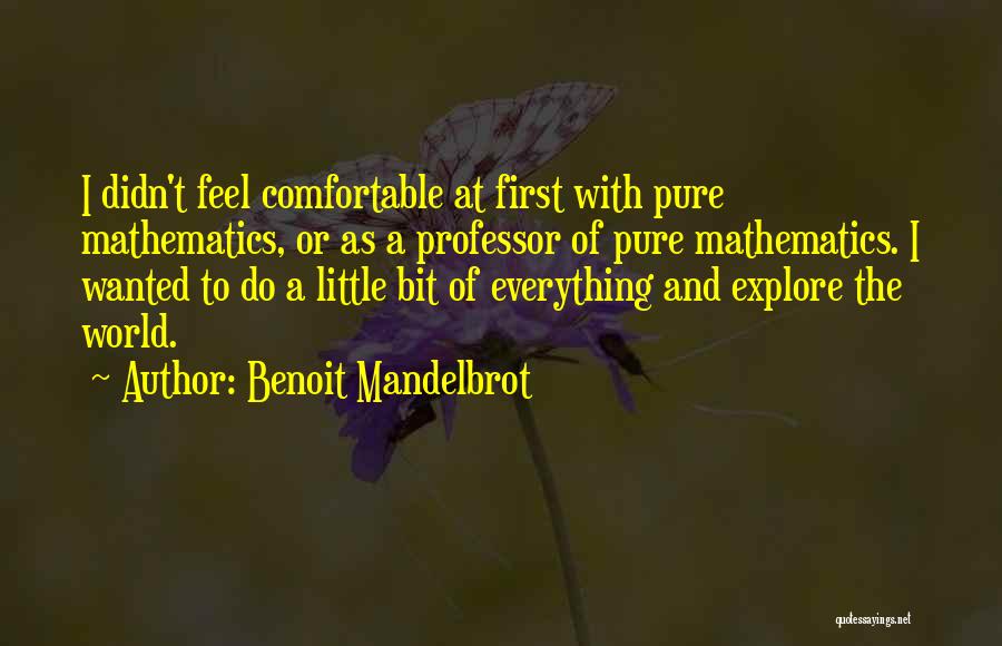 Pure Mathematics Quotes By Benoit Mandelbrot