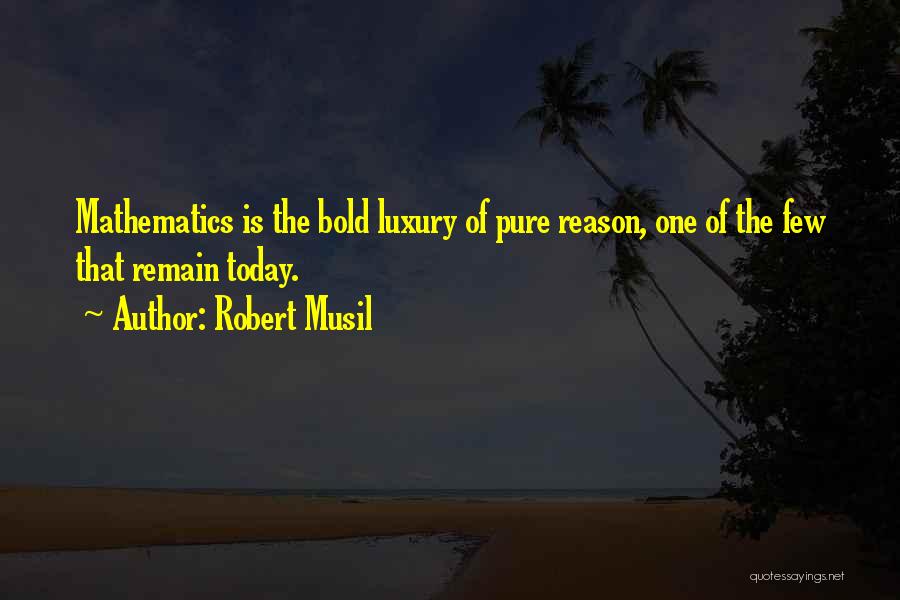 Pure Mathematics Quotes By Robert Musil